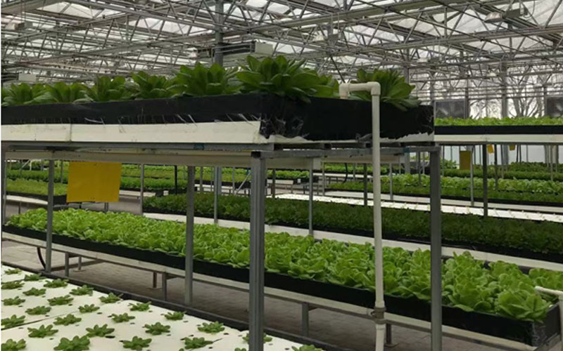 云顶集团(中国区)官方网站